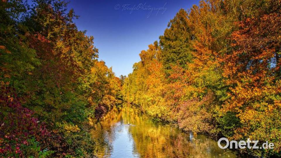 Die schönsten Herbstbilder unserer Facebook-User für Oktober. Bild: Neun Teufel Photography