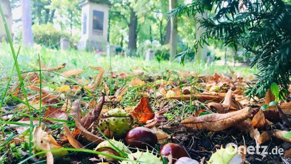 Die schönsten Herbstbilder unserer Facebook-User für Oktober. Bild: Niki Ritter
