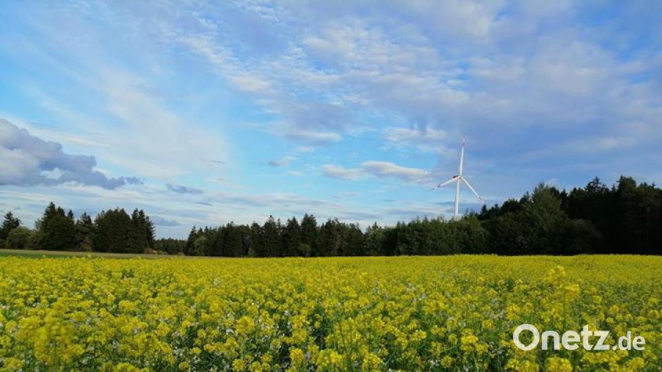 Die schönsten Herbstbilder unserer Facebook-User für Oktober. Bild: Maximilian Herbst