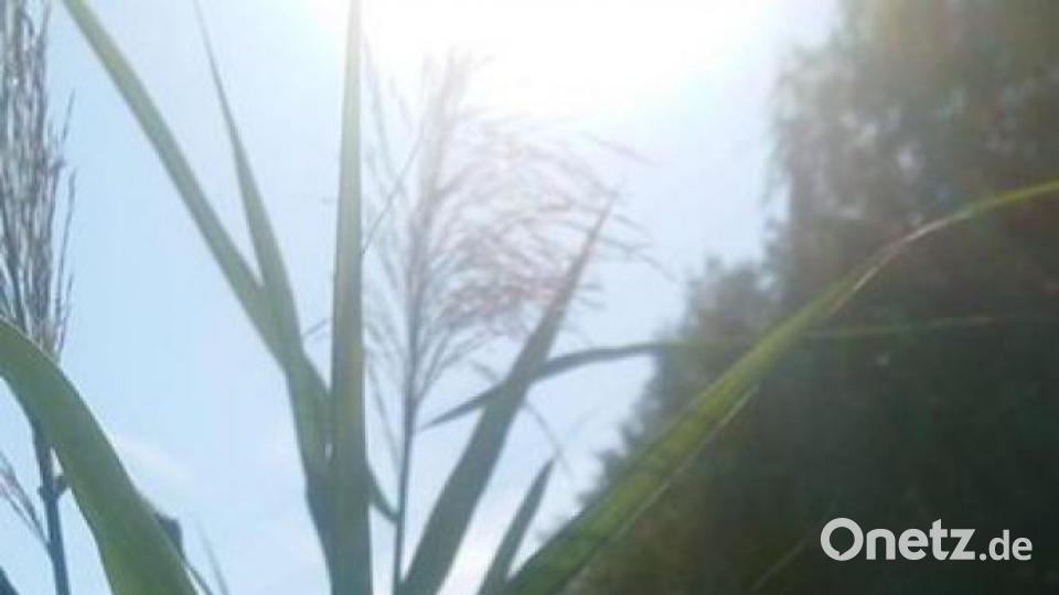 Die schönsten Herbstbilder unserer Facebook-User für Oktober. Bild: Monika Speckner