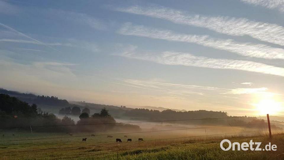Die schönsten Herbstbilder unserer Facebook-User für Oktober. Bild: Daniel Zimmermann