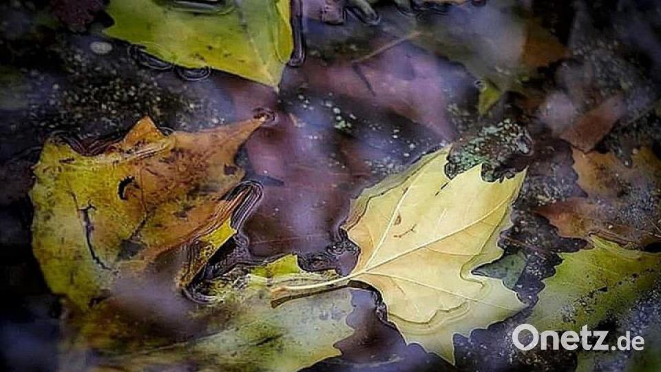 Die schönsten Herbstbilder unserer Facebook-User für Oktober. Bild: Daniel Seibold