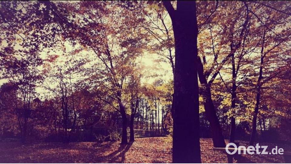 Die schönsten Herbstbilder unserer Facebook-User für Oktober. Bild: Alexandra Victoria
