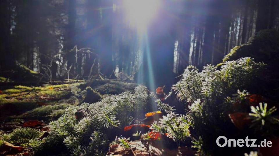 Die schönsten Herbstbilder unserer Facebook-User für Oktober. Bild: Daniel Zimmermann