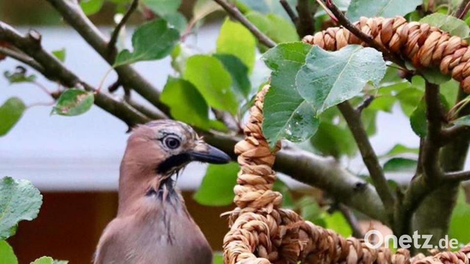 Die schönsten Herbstbilder unserer Facebook-User für Oktober. Bild: Hans Lenk