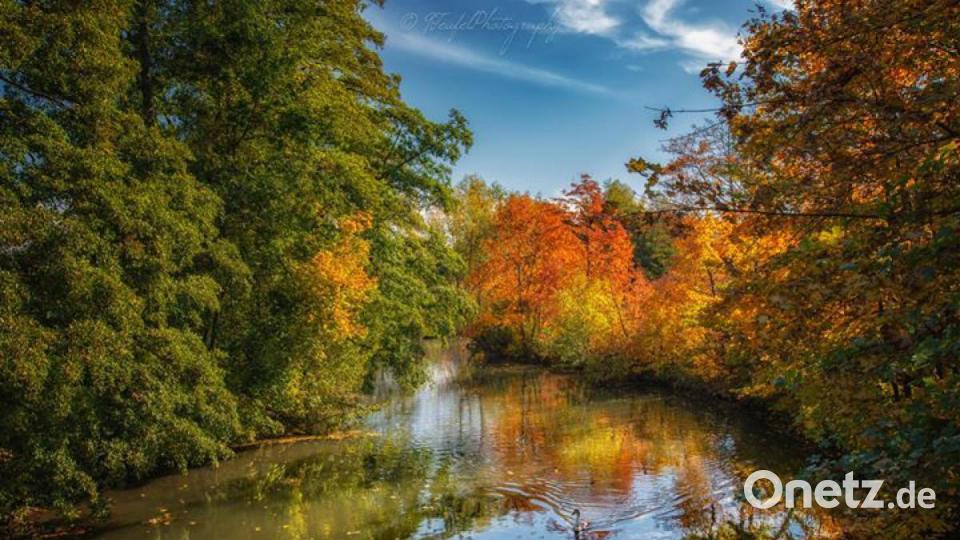 Die schönsten Herbstbilder unserer Facebook-User für Oktober. Bild: Neun Teufel Photography