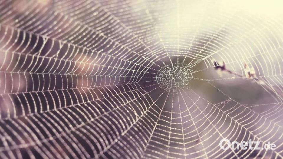 Die schönsten Herbstbilder unserer Facebook-User für Oktober. Bild: Sabrina Breiner