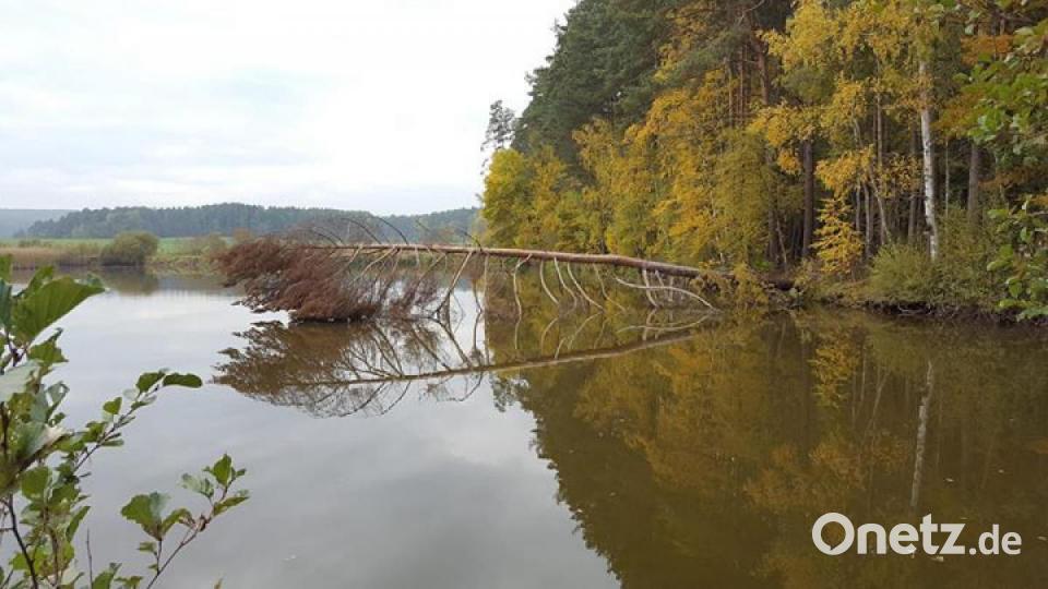 Die schönsten Herbstbilder unserer Facebook-User für Oktober. Bild: Silja Kretz