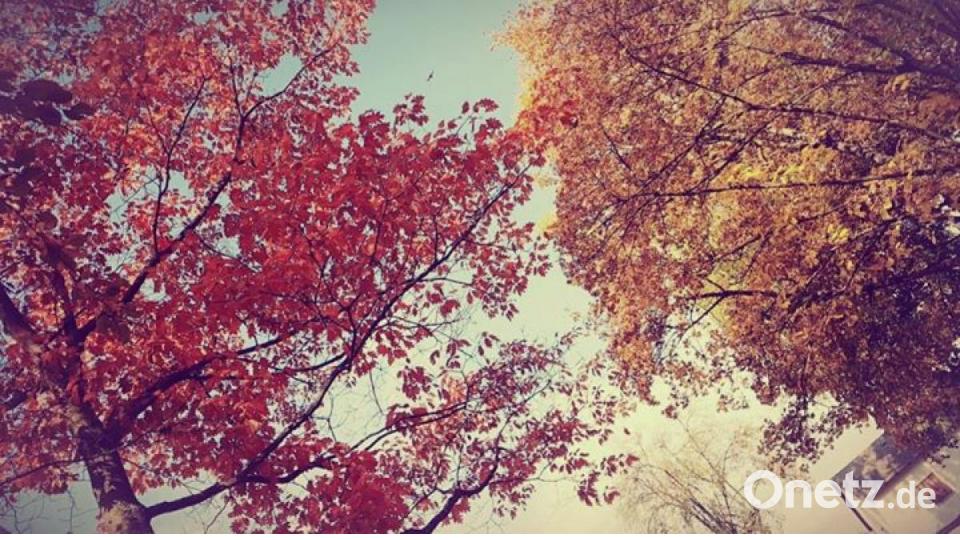 Die schönsten Herbstbilder unserer Facebook-User für Oktober. Bild: Alexandra Victoria