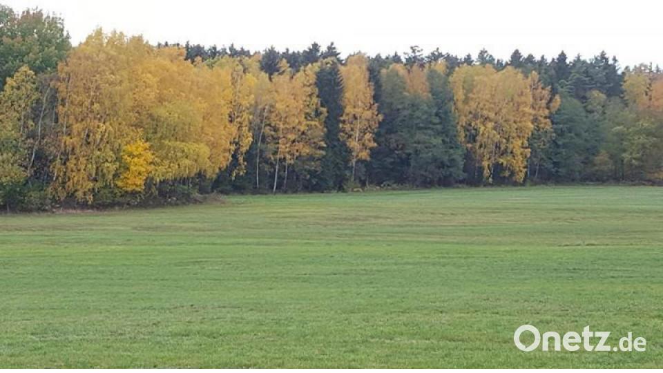 Die schönsten Herbstbilder unserer Facebook-User für Oktober. Bild: Corinna Schraml