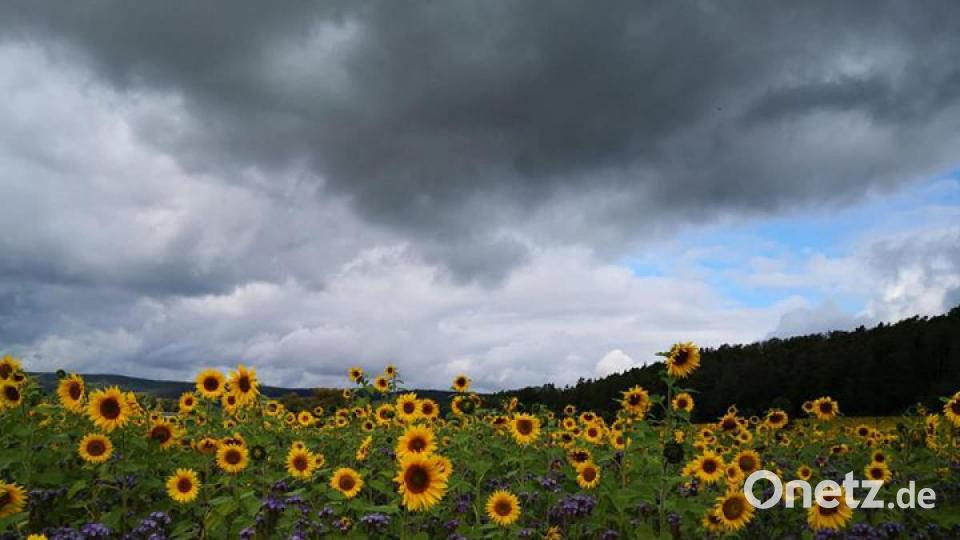 Die schönsten Herbstbilder unserer Facebook-User für Oktober. Bild: Doris Kerscher