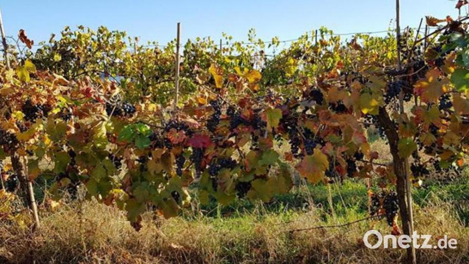 Die schönsten Herbstbilder unserer Facebook-User für Oktober. Bild: Melanie Lier