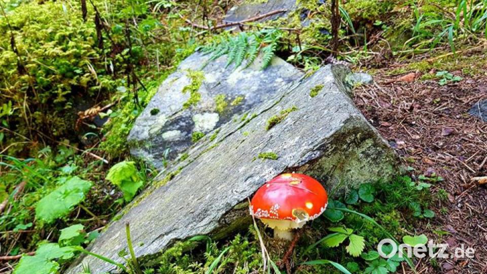 Die schönsten Herbstbilder unserer Facebook-User für Oktober. Bild: Andrea Glatzl