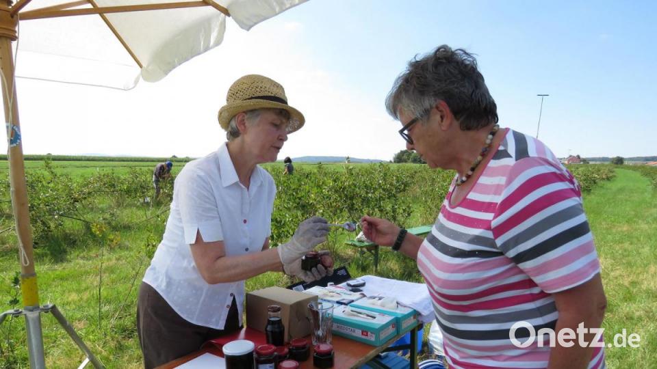 Hedwig Jacobey (links) lässt die Pflückerinnen auch gern von ihren bereits getrockneten Beeren kosten. Bild: ubb