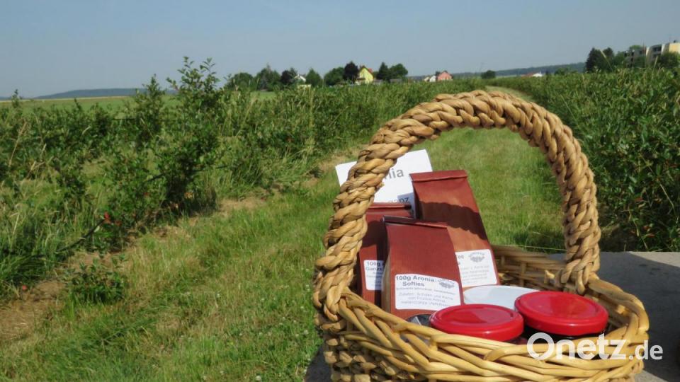 Hedwig Jacobey stellt unterschiedliche Leckereien wie Marmelade, Saft oder Tee aus der tiefdunklen, prallen Beere her. Sie kann damit bereits einen kleinen Produkte-Korb füllen. Bild: ubb