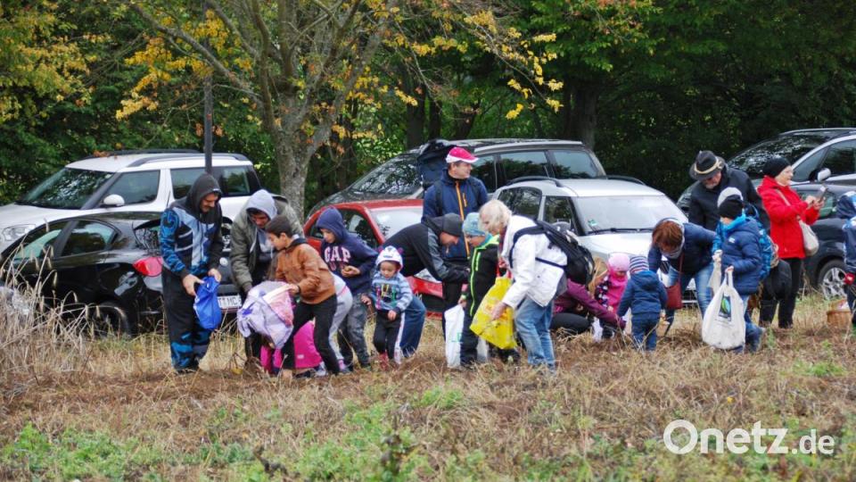 Auf dem Kartoffelfeld war einiges los. Bild: enz