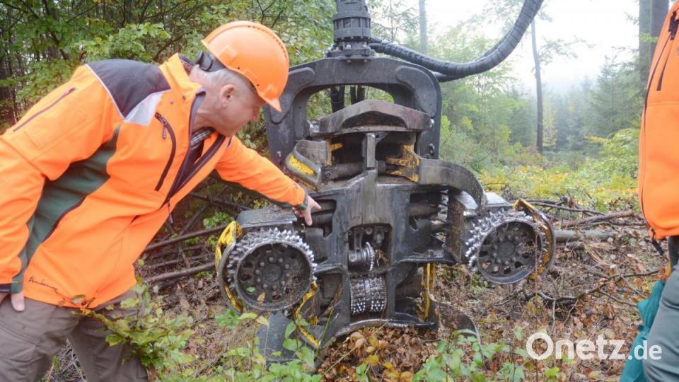 Der moderne Harvesterkopf mit Greifarmen und integrierter Säge kann auch gleich den Durchmesser des Stammes feststellen. Bild: Gabi Schönberger