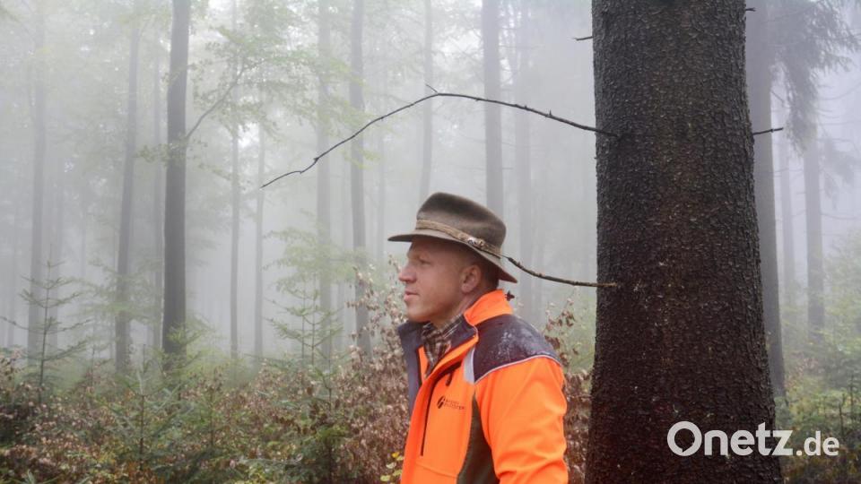 Revierleiter Hans Frisch führt das Lichtregime im Hessenreuther Wald. Bild: Gabi Schönberger