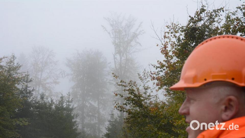 Hessenreuther Wald Baumrodung Bild: Gabi Schönberger