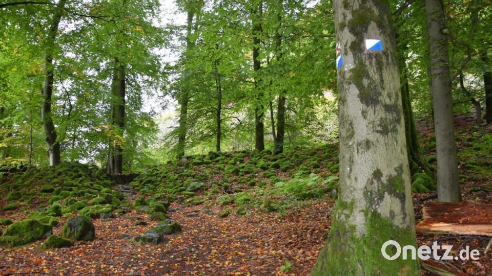 Durch ein Geröllfeld führt ein Wanderweg im Osten auf den Rauhen Kulm. Bild: jak