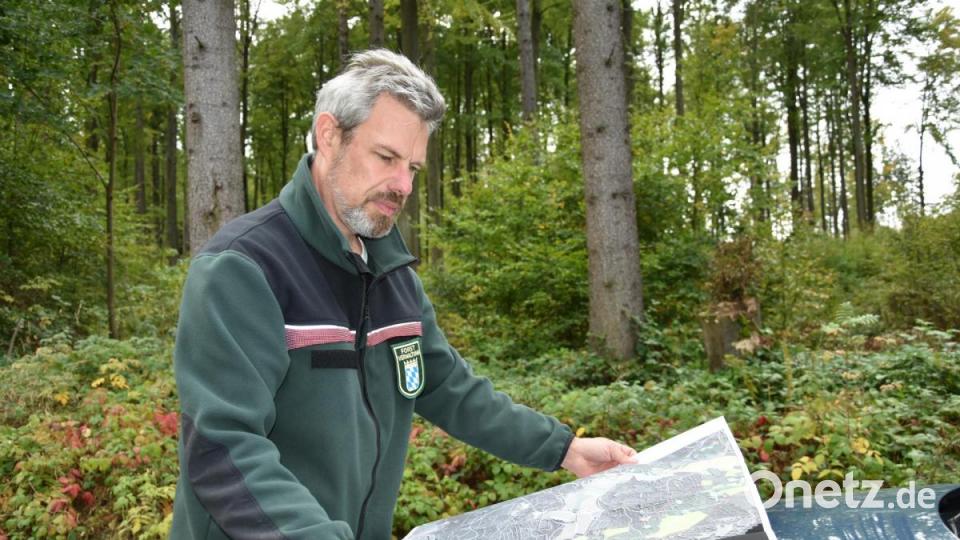 Andreas Hermer betrachtet die Karte mit den FFH-Gebieten im Landkreis Neustadt/WN. Bild: jak