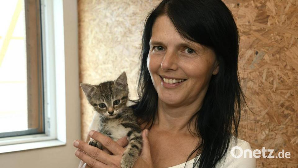 Anna-Maria Pinzl kümmert sich schon ihr Leben lang um Katzen, im Dezember 2018 gründete sie schließlich den Verein Katzenhilfe Vilstal. Auf ihrem Hof in Schmidmühlen nimmt sie Fundtiere auf, versorgt die Vierbeiner und vermittelt sie weiter. Bild: Petra Hartl
