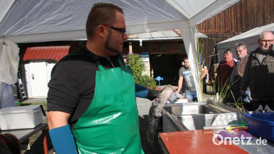 Der fangfrische Waller, in Portionen zerteilt, war nur eines der vielen Angebote. Bild: wro