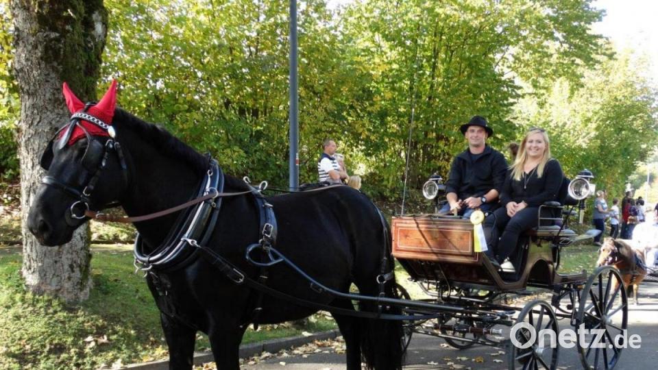 Eine wunderschönes Pferd mit schöner Kutsche. Bild: twg