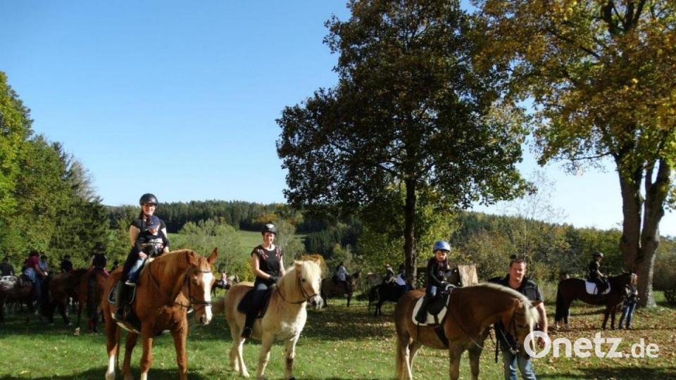 Es herrschte Kaiserwetter in Trevesen. Bild: twg