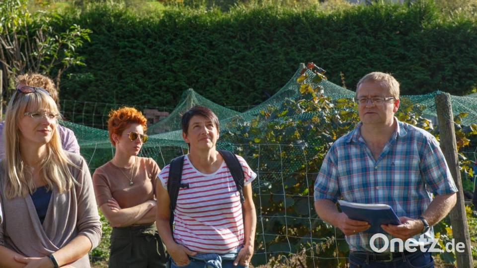 Gottfried Blank (rechts) erklärte interessierten Naturfreunden die Besonderheiten der Magerrasen. Bild: Susanne Kimmerl