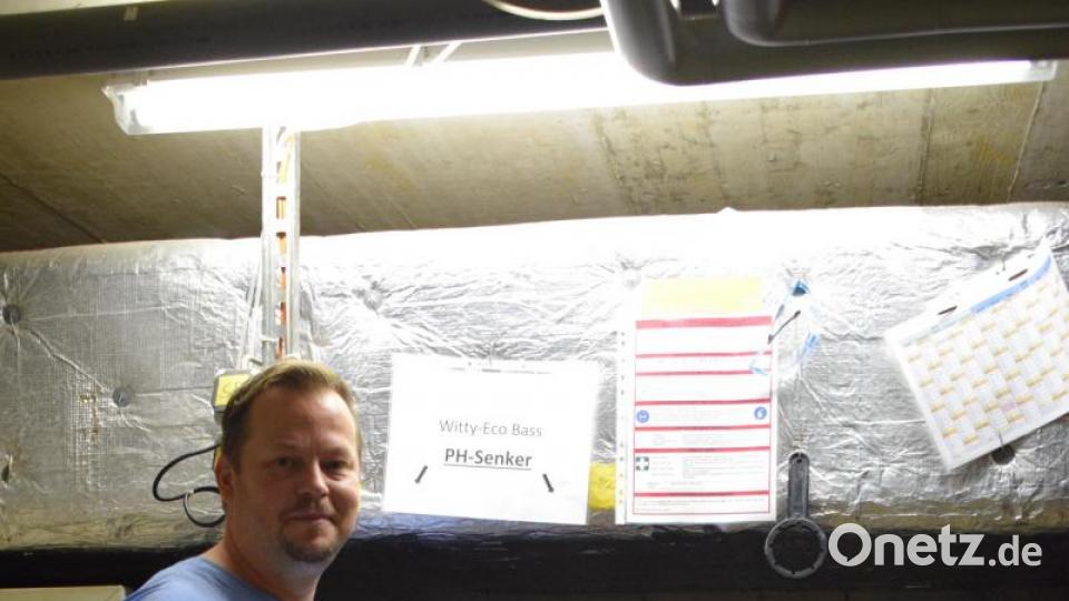 Daniel Giesl (42) ist Firmenchef des Familienunternehmen. Er ist von Beruf IT-Systemelektroniker und Schwimmbad-Bauer. Bild: szl