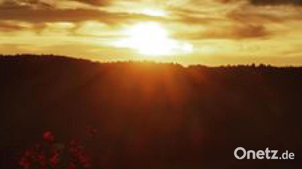 Egelsheim - von Christian Viehauser. Bild: Christian Viehauser