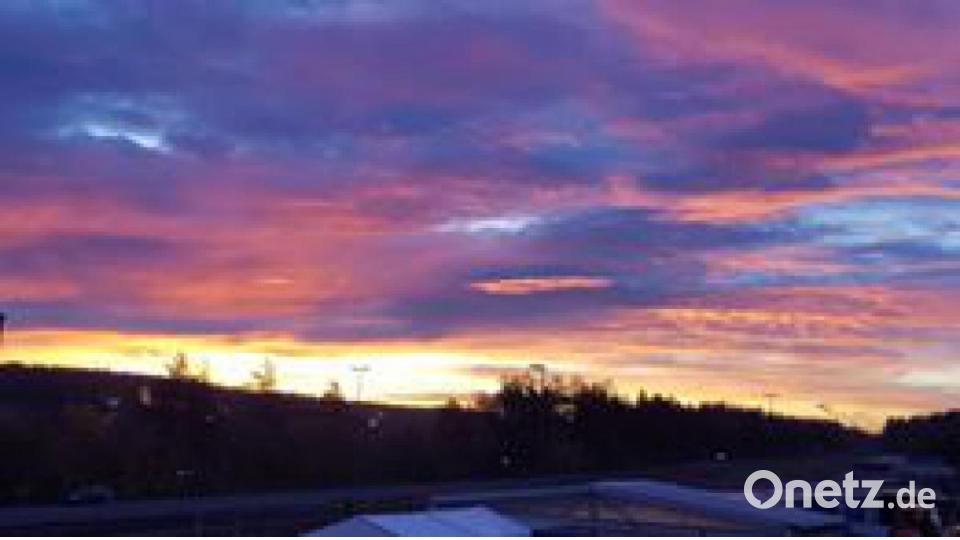 Von Susie Williams. Bild: Susie Williams