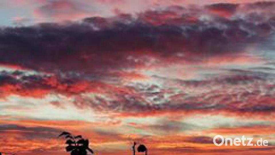 Hohenburg - von Julia Schwarz. Bild: Julia Schwarz