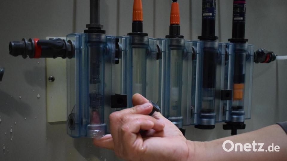Daniel Giesl lässt das Wasser aus den Elektroden der Anlage im Schätzlerbad. Bild: szl