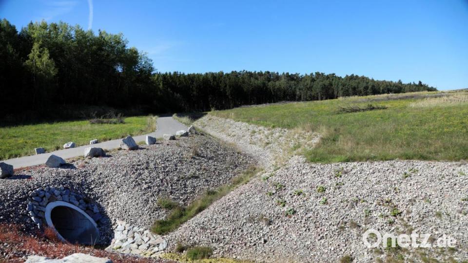 Im ersten Bauabschnitt zwischen 2013 und 2016 wurden 15 Millionen Euro verbaut. Es entstand eine hügelig profilierte Landschaft, auf denen Magerrasen wächst. Die Gräben leiten das Oberflächenwasser entlang der Fahrwege ab. Bild: Gerhard Götz