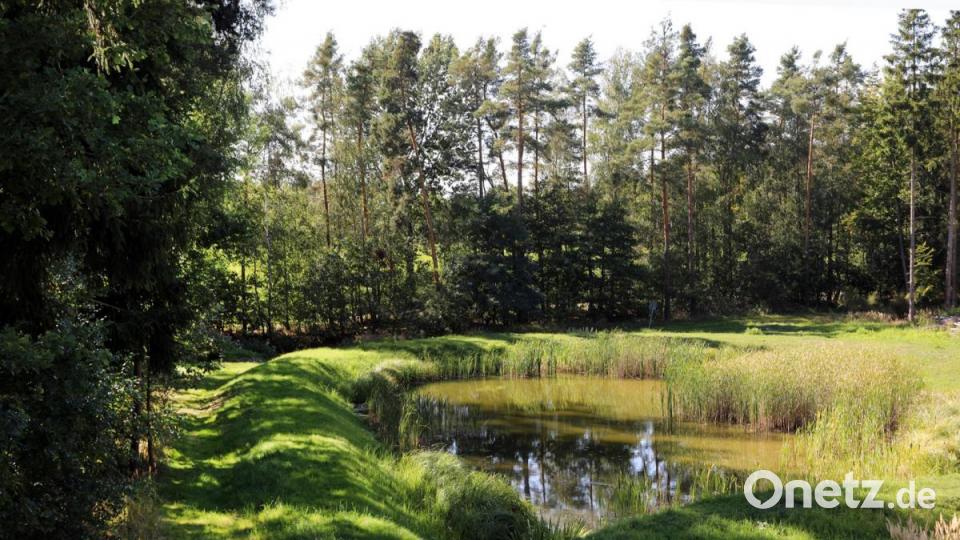 Blick über den Zaun: Der Weiher am westlichen Ende des Westfelds entstand ebenfalls im Zuge der Rekultivierung. Mit weiteren Maßnahmen soll er eine Verbindung zum Biotop Hirtlohweiher schaffen. Bild: Gerhard Götz