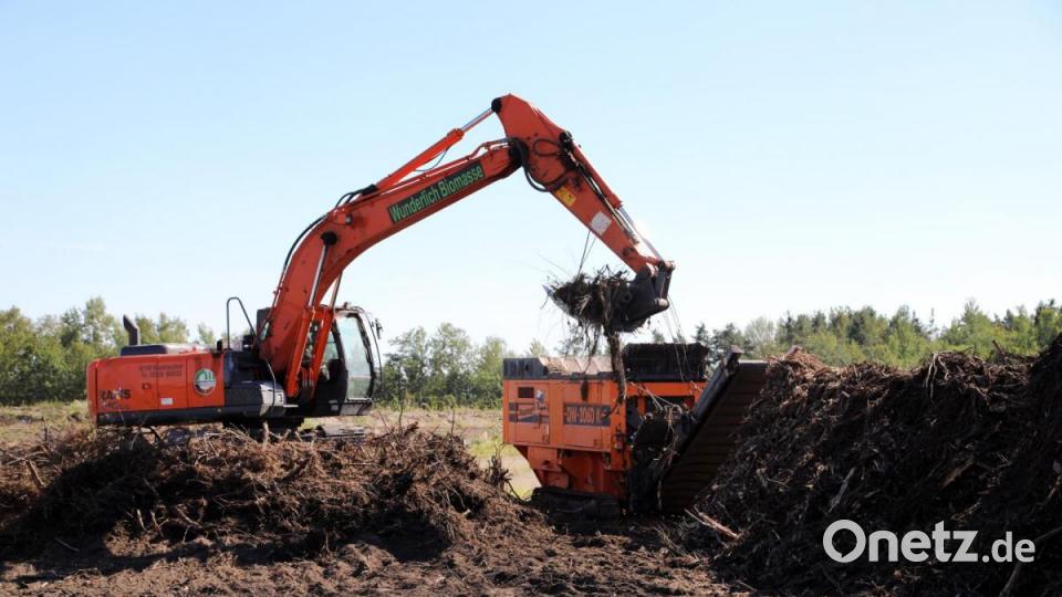 Am ehemaligen Bunker im Süden des Westfelds wurden viele Bäume gefällt und entwurzelt. Das Holz wird größtenteils gehäckselt und verbrannt, zum Teil auch für Totholzhaufen auf dem Gelände verwendet. Bild: Gerhard Götz