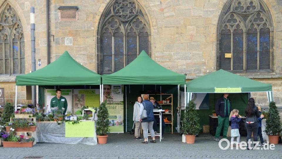 Auch die Stadtgärtnerei informierte. Bild: Andreas Brückmann