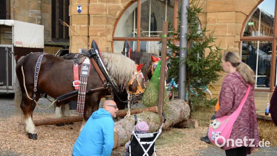 Infos durch das Forstamt. Bild: Andreas Brückmann
