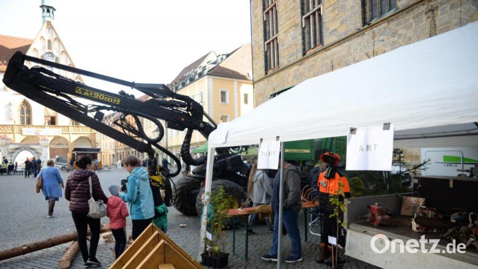 Infos durch das Forstamt. Bild: Andreas Brückmann