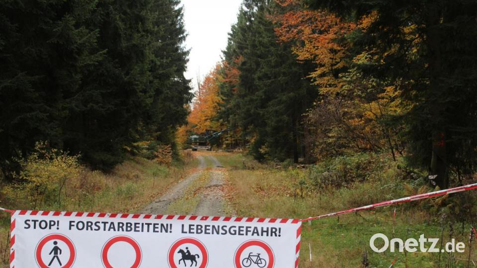 Die Absperrung warnt vorbeikommende Waldbesucher vor den Forstarbeiten. Das Areal darf während der Baumfällung nicht betreten werden. Bild: Susanne Forster