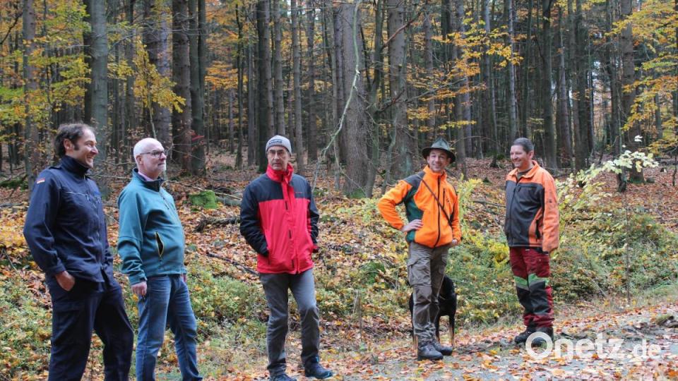 Ingo Greim (von links), Alfred Schöberl, Oswald Hamann, Stefan Schnurrer und Stefan Riedl sprechen über den weiteren Verlauf der Forstarbeiten. Bild: Susanne Forster