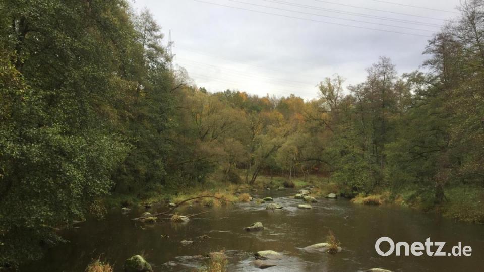 Das malerische Waldnaabtal. Bild: Marina Sigritz