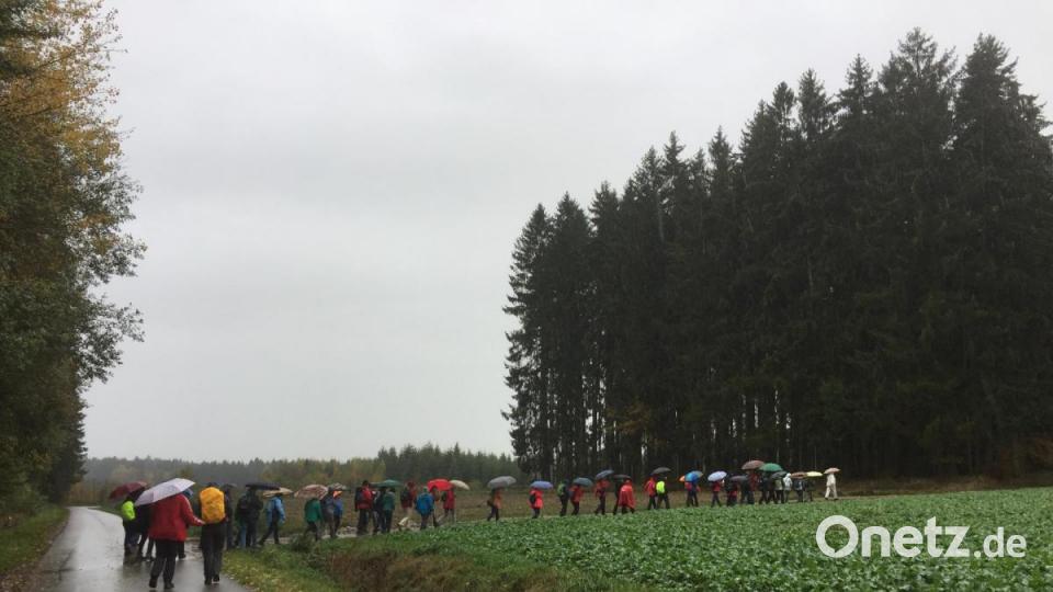 5 Leserwanderung zwischen Wurz und Windischeschenbach. Bild: Marina Sigritz