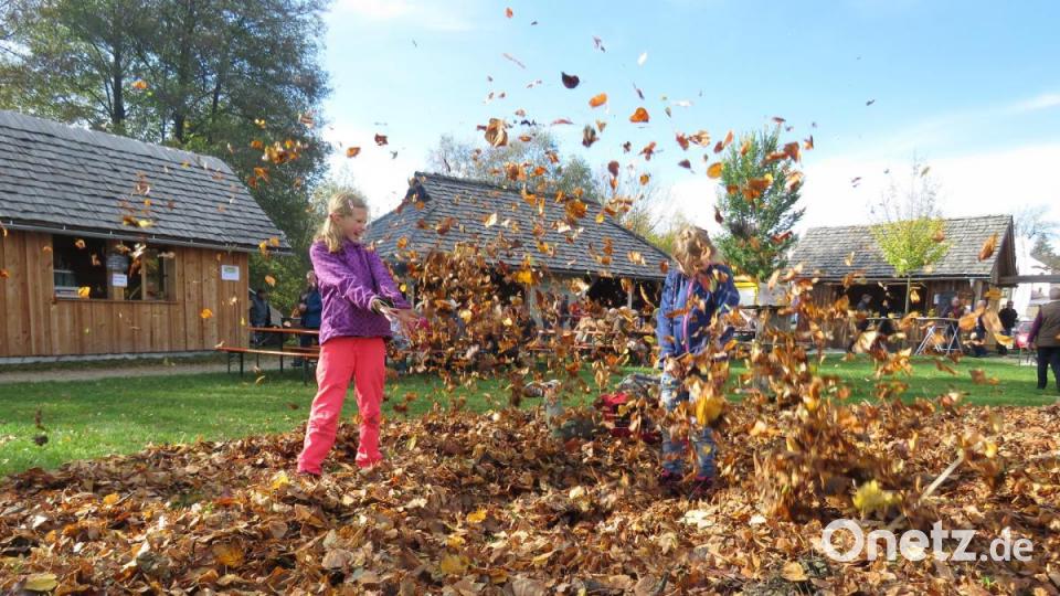 Die Kinder hatten ihren Spaß im Laubhaufen, wo Kastanien versteckt waren. Bild: ubb