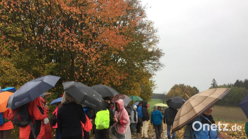 Der Stimmung tat der Regen bei der 5 Leserwanderung zwischen Wurz und Windischeschenbach keine Abbruch. Die Wanderer waren gut gerüstet. Bild: Marina Sigritz