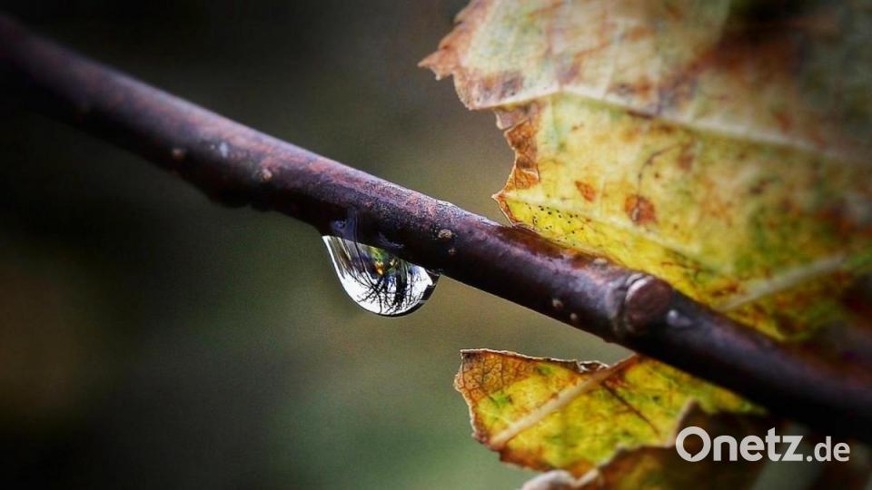 Unsere Facebook-Fans teilen ihre schönsten Sommerbilder mit uns. Bild: Daniel Seibold