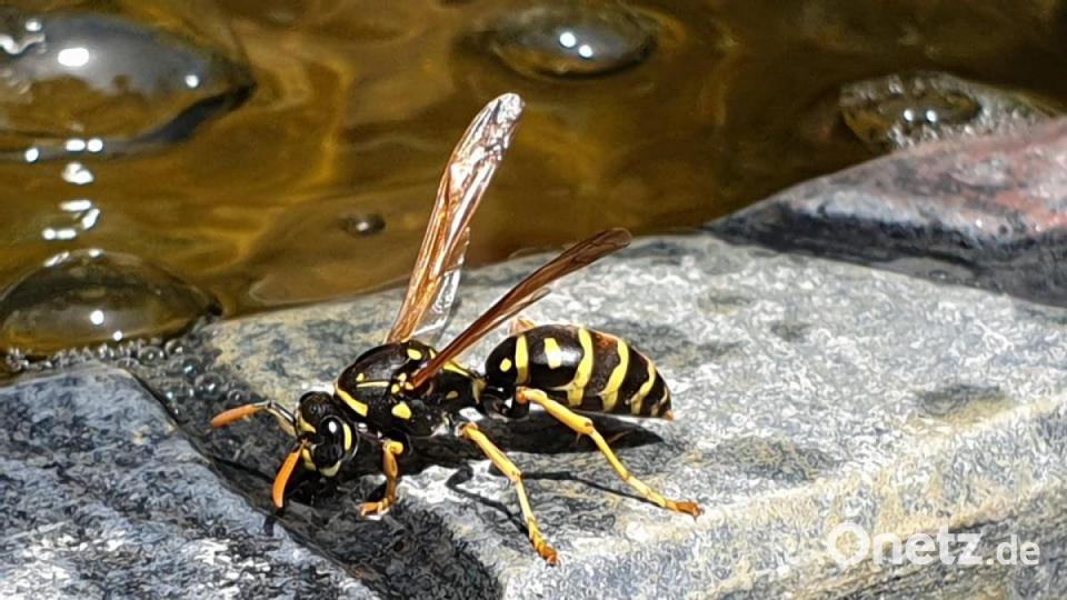 Unsere Facebook-Fans teilen ihre schönsten Sommerbilder mit uns. Bild: Daniela Aßmann-Pennella
