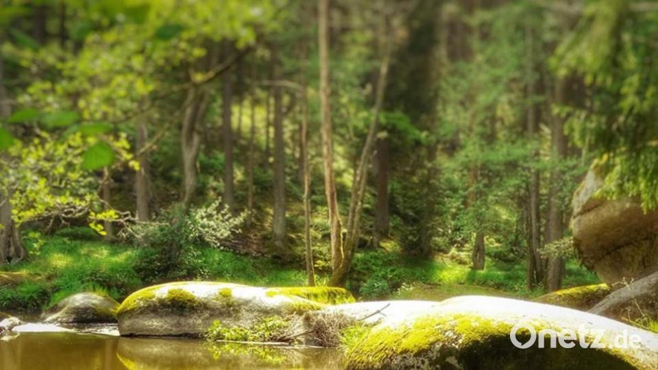 Unsere Facebook-Fans teilen ihre schönsten Sommerbilder mit uns. Bild: Thomas Gietzke